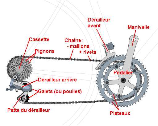 Fouet de chaîne de vélo fonctionnel pignon piste détachant pour un  entretien